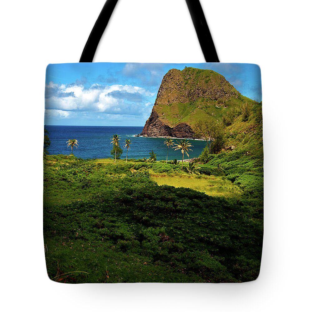 Ocean Tote Bag featuring the photograph Secret Cove by Harry Spitz