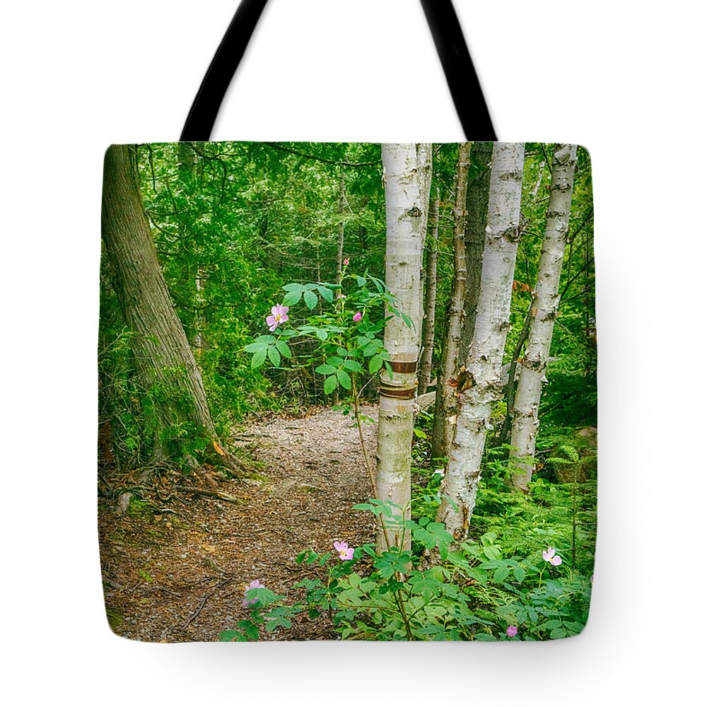 Secret Tote Bag featuring the photograph Secret Garden Path by Amanda Jones