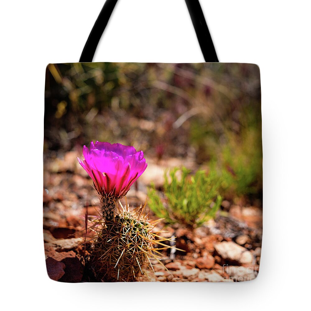 Arizona Tote Bag featuring the photograph Sedona Cactus Flower by Raul Rodriguez