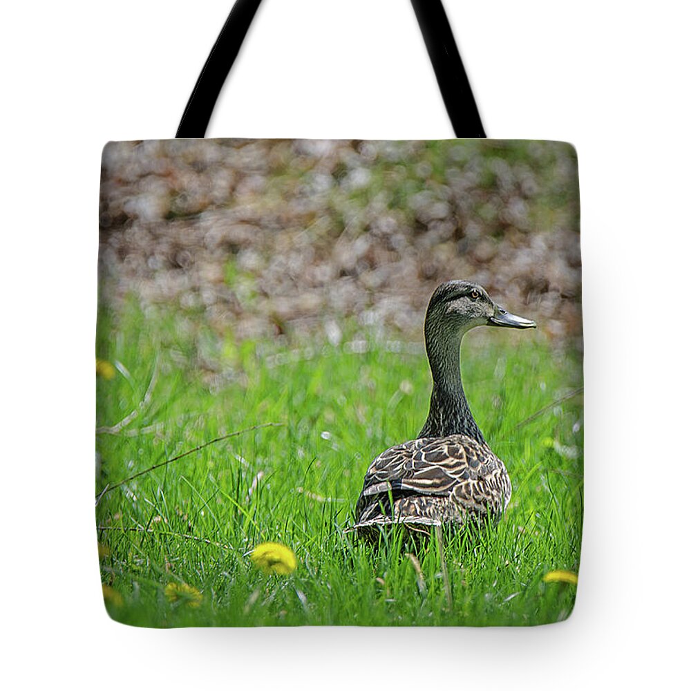 See And Be Seen Tote Bag featuring the photograph See And Be Seen by Susan McMenamin