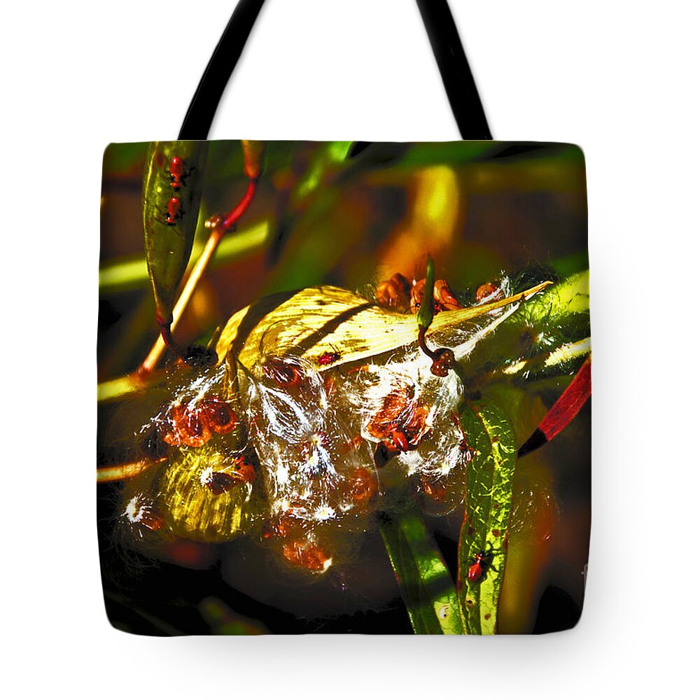  Tote Bag featuring the photograph Seed Pod Oopening by David Frederick