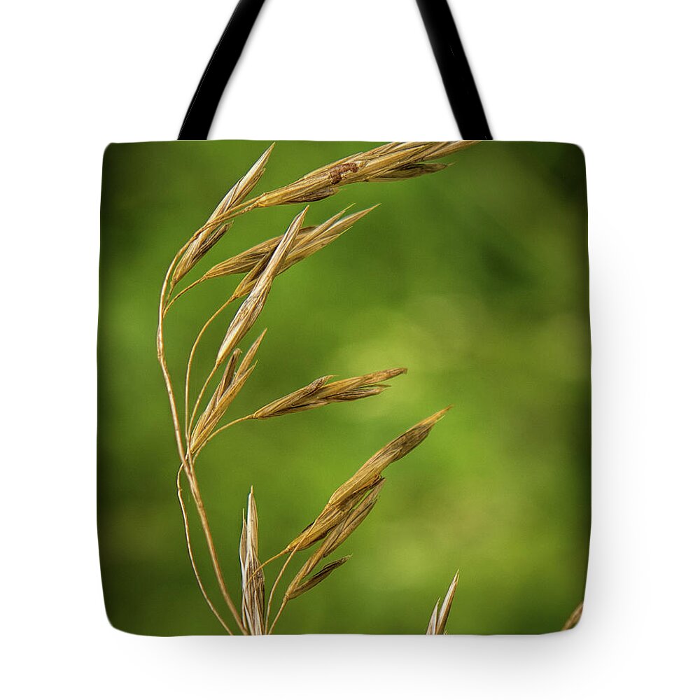 Grass Tote Bag featuring the photograph Seedhead by Michael Hall