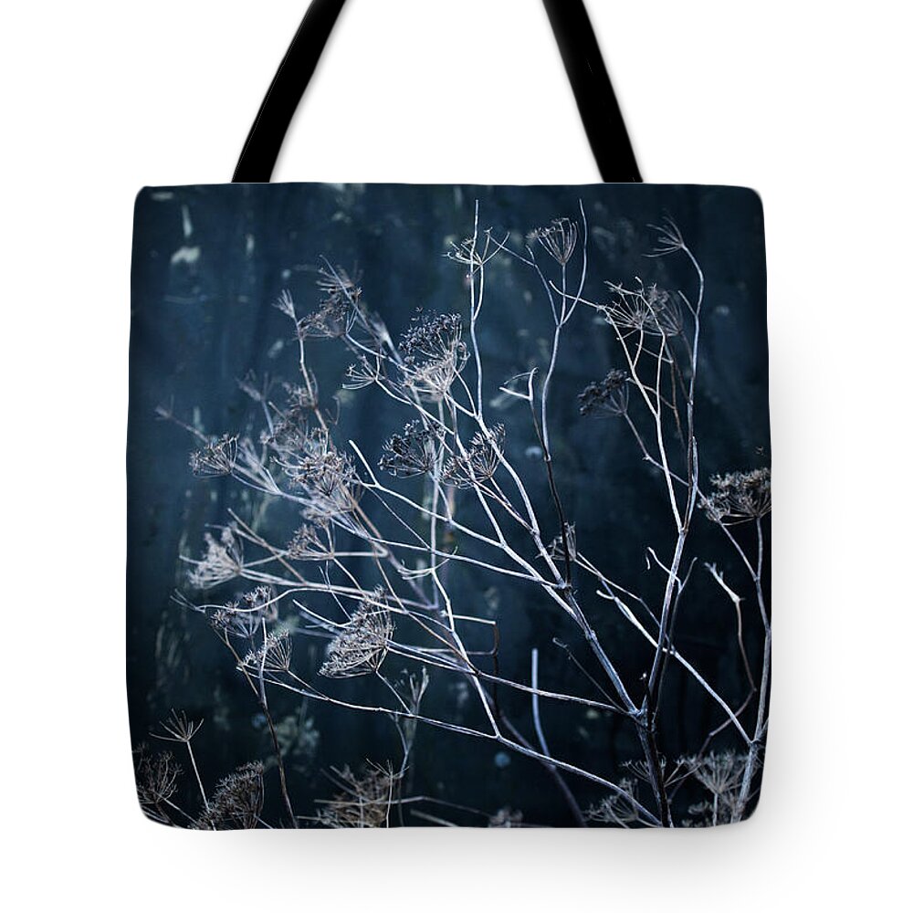  Tote Bag featuring the photograph Seedheads and Tarpaulin by Anita Nicholson