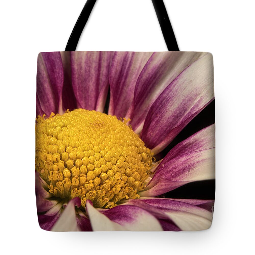 Symmetrical Center Tote Bag featuring the digital art Seeds of Gold by Syed Muhammad Munir ul Haq
