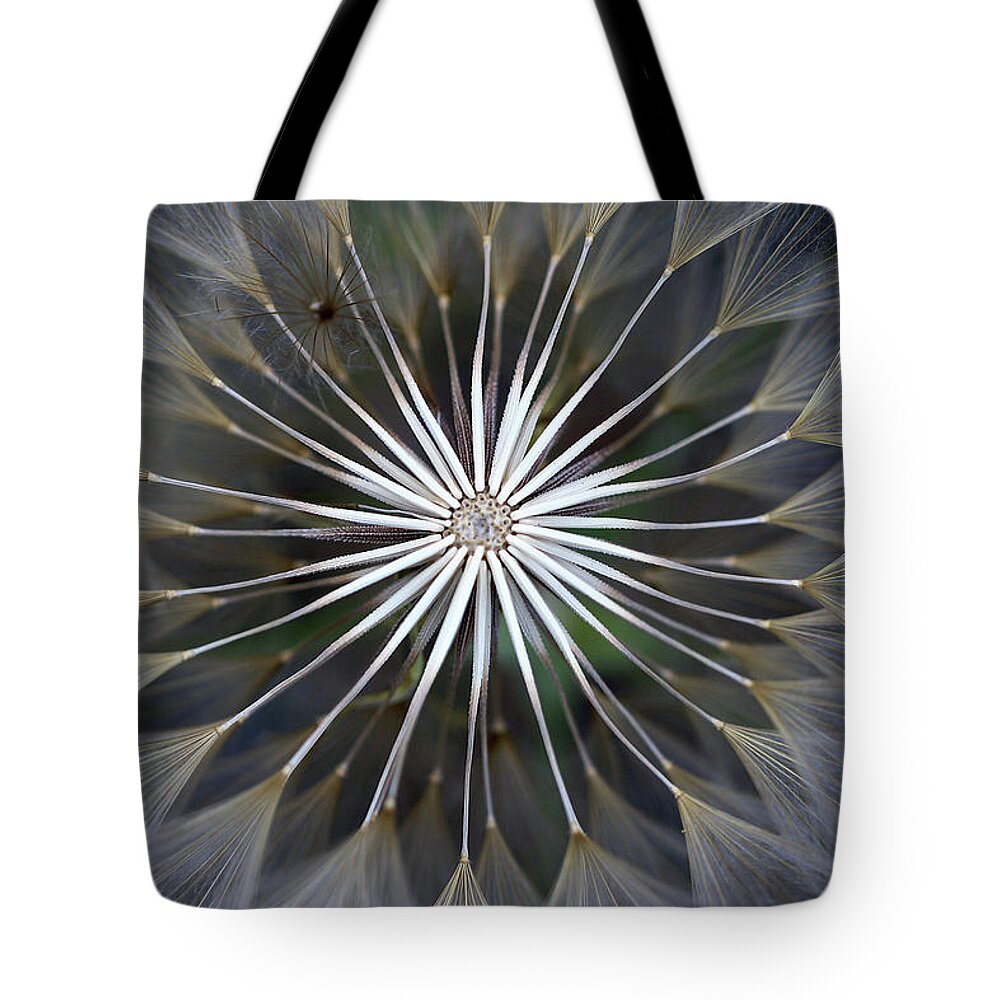 Seed Head Tote Bag featuring the photograph Seeds of Wonder by Vanessa Thomas