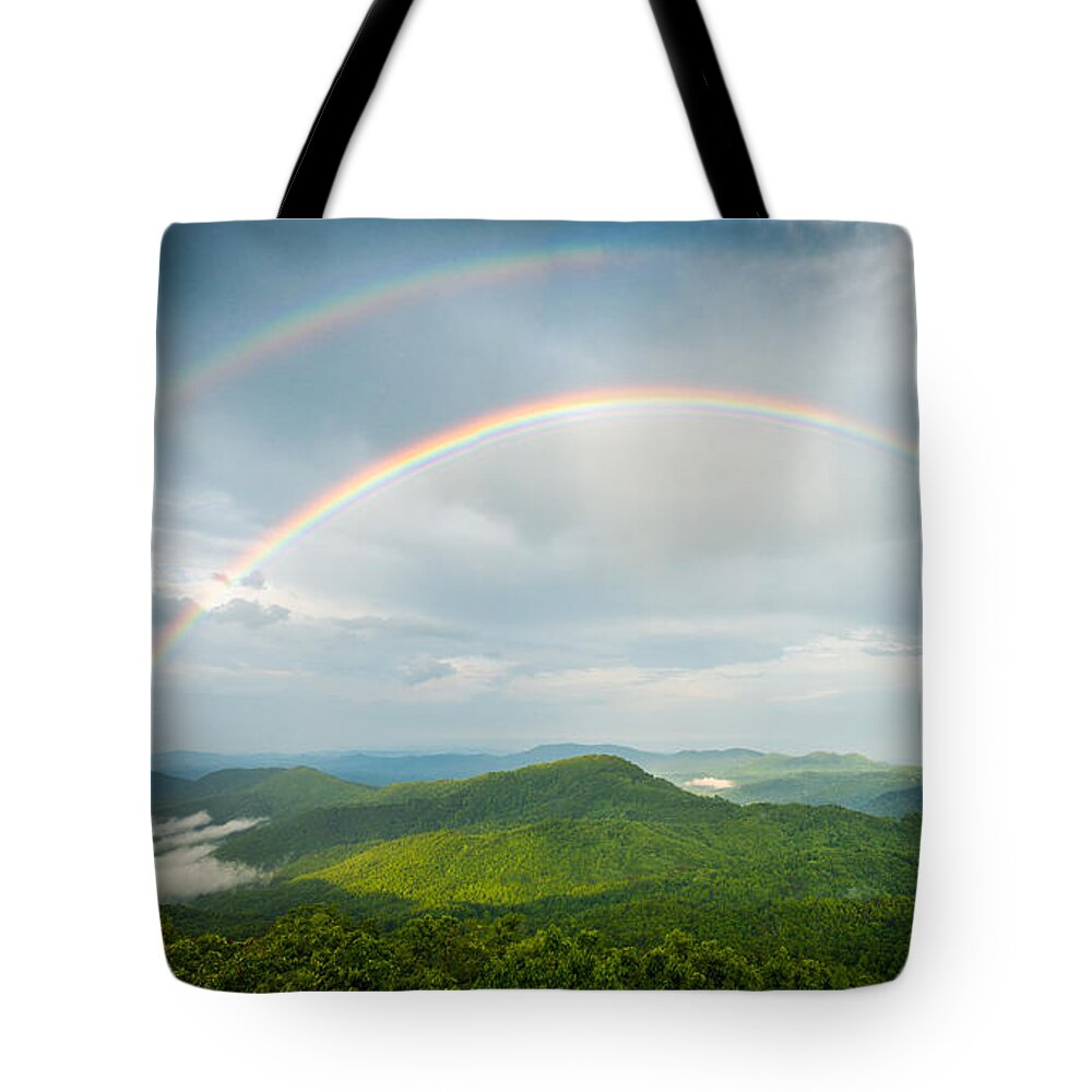 Asheville Tote Bag featuring the photograph Seeing Double by Joye Ardyn Durham