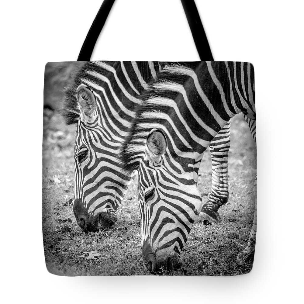 2015 Tote Bag featuring the photograph Seeing Double by Wade Brooks