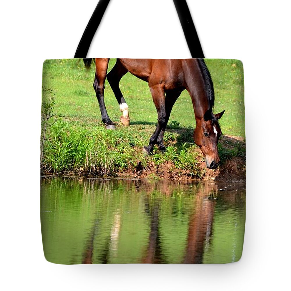 Horse Tote Bag featuring the photograph Seeing My Own Reflection by Maria Urso