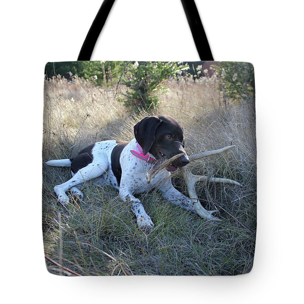 Gsp Tote Bag featuring the photograph Seeking Shade by Brook Burling
