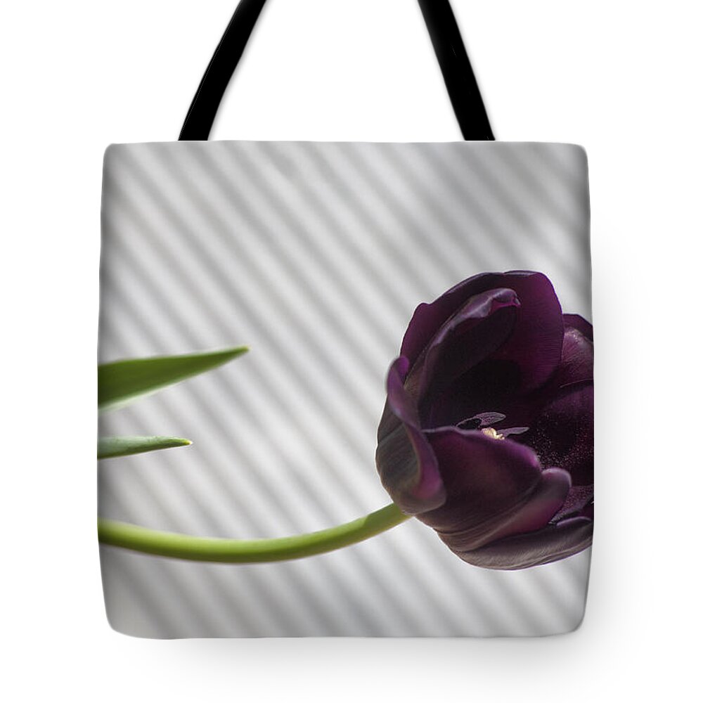  Flower Tote Bag featuring the photograph Seeking The Light by Morris McClung