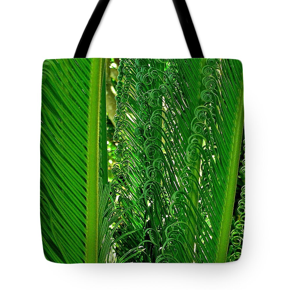 Sego Palm Tree Tote Bag featuring the photograph Sego Palm by James Temple