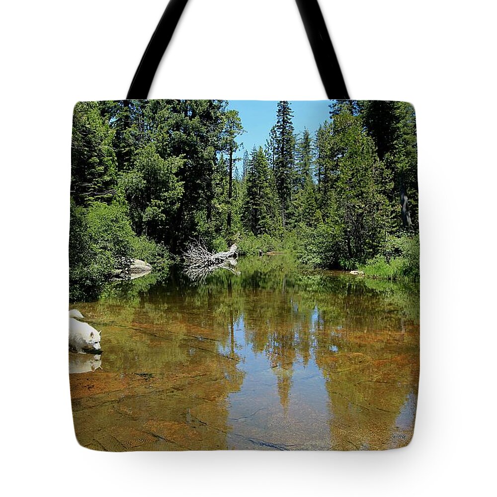Summer Tote Bag featuring the photograph Sekani Stream Dream by Sean Sarsfield