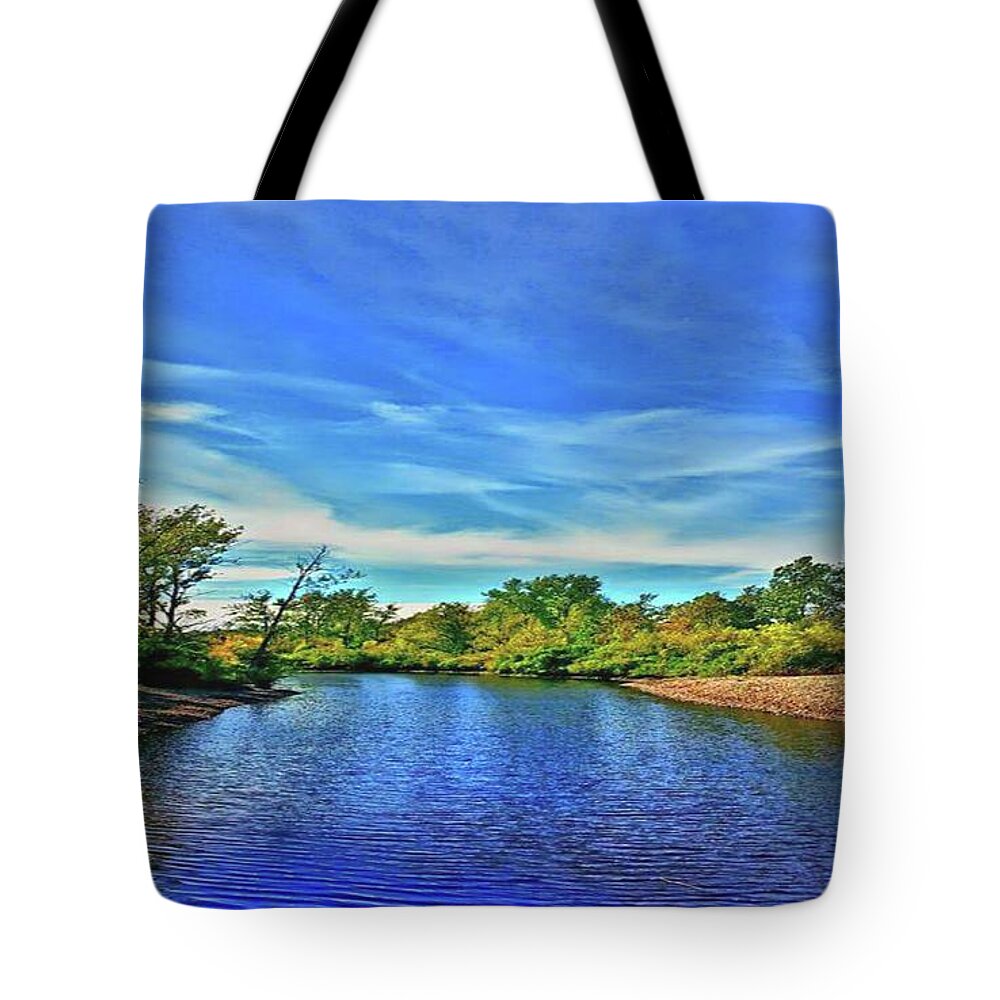 Creek Tote Bag featuring the photograph Selkirk Shores by Dani McEvoy