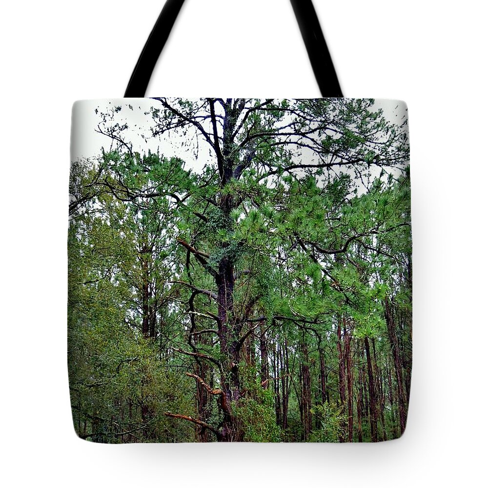 Forest Tote Bag featuring the photograph Sentinel of the Forest by Tim Townsend