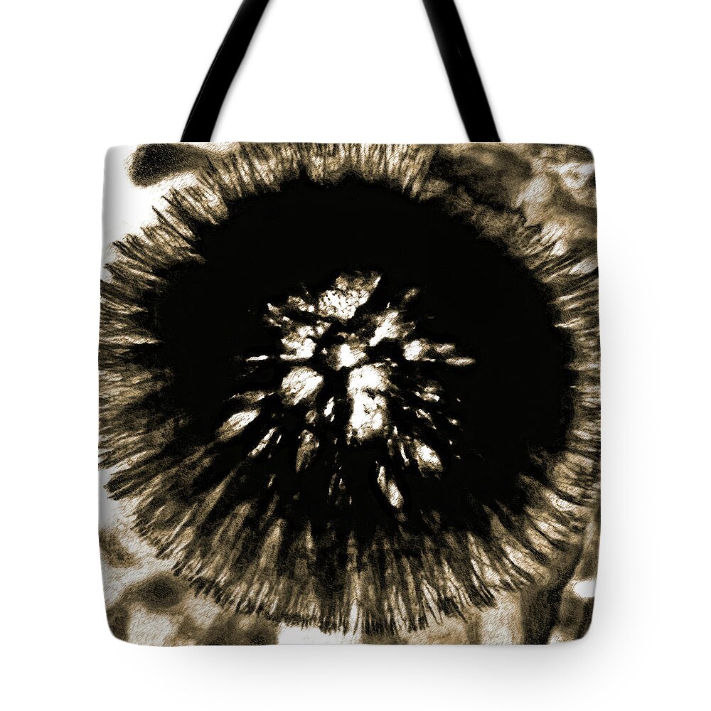 Dandelion Tote Bag featuring the photograph Sepia Dandelion by Gina O'Brien