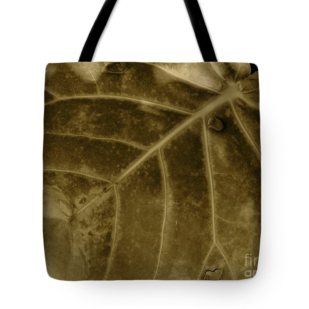 Leaf Tote Bag featuring the photograph Sepia Foliage by Mafalda Cento
