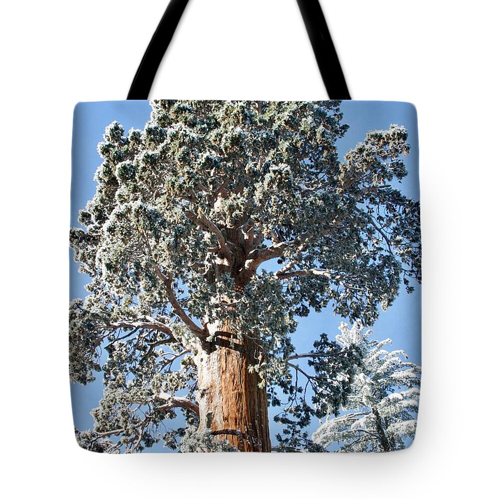 Sequoia Tote Bag featuring the photograph Sequoia by Masha Batkova