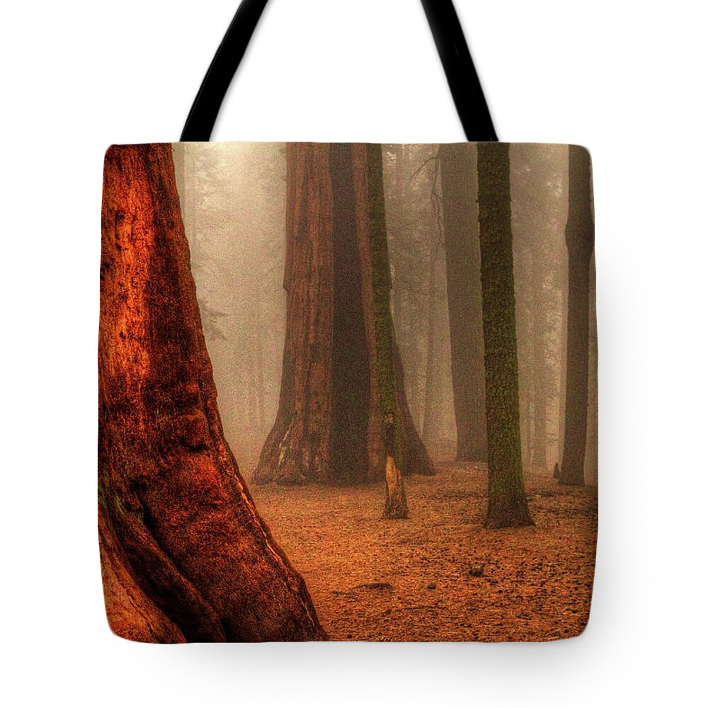 California Tote Bag featuring the photograph Sequoias touching the Clouds by Roger Passman