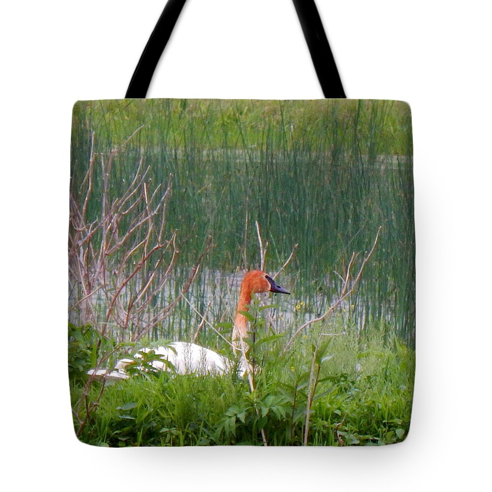 Summer Tote Bag featuring the photograph Serena Nests by Wild Thing