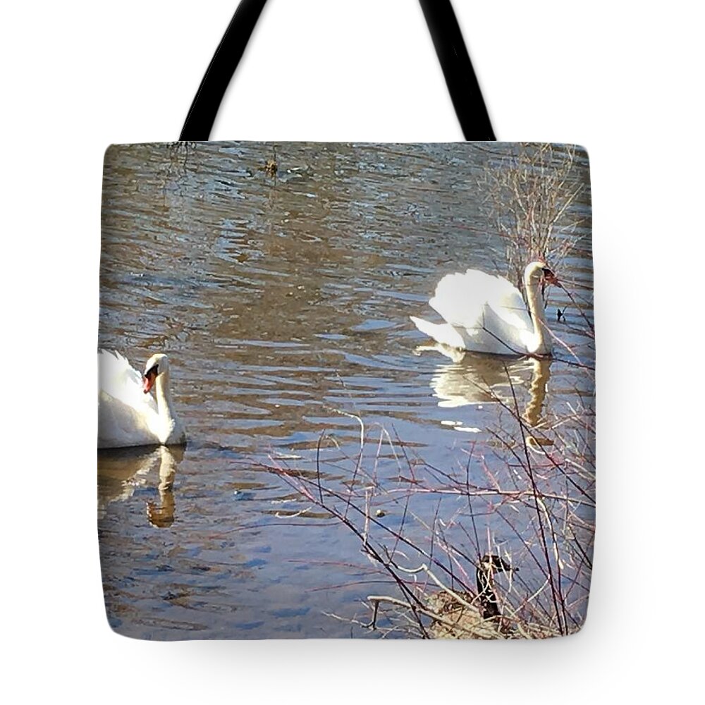 Swans Tote Bag featuring the photograph Serene Swans by Anjel B Hartwell