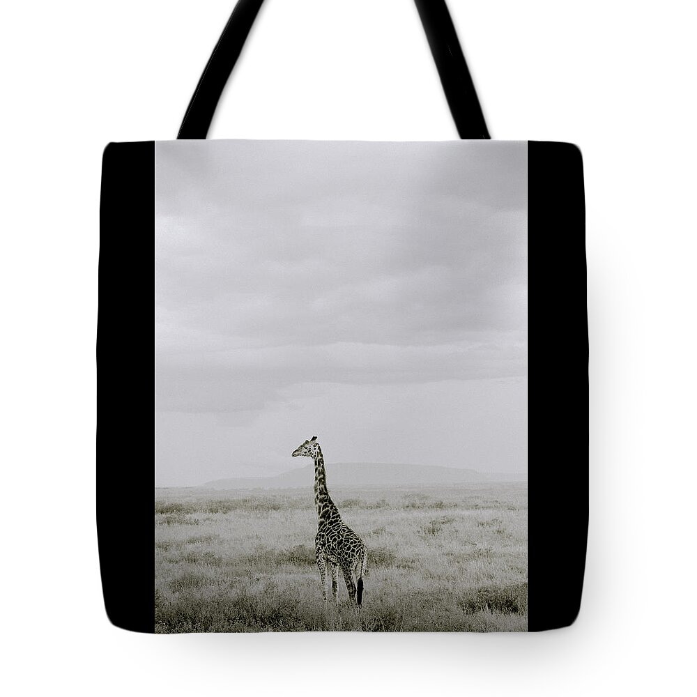 Inspiration Tote Bag featuring the photograph Serengeti Solitude by Shaun Higson
