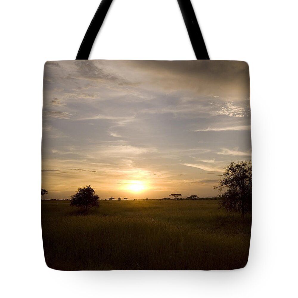 Landscapes Tote Bag featuring the photograph Serengeti sunset by Patrick Kain