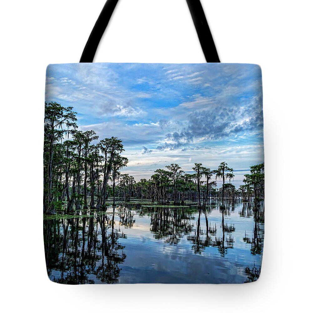 Landscapes Tote Bag featuring the photograph Serenity by DB Hayes