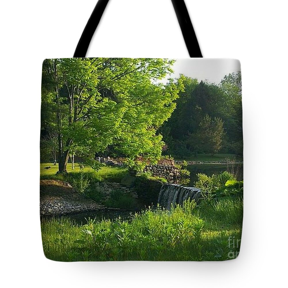 Landscape Tote Bag featuring the photograph Serenity by Dani McEvoy