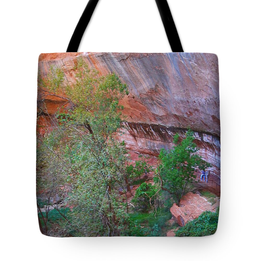 Nature Tote Bag featuring the photograph Serenity in Zion by Bethany Diaz