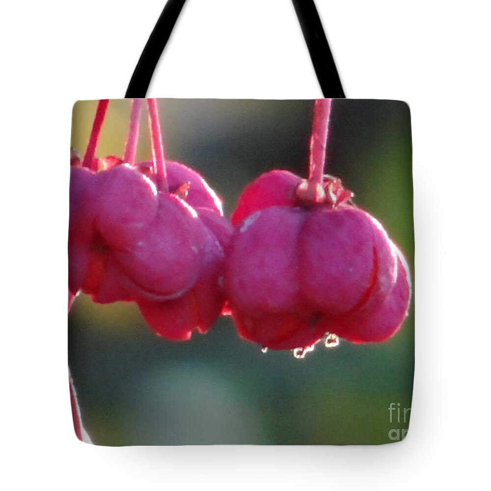 Serenity Tote Bag featuring the photograph Serenity by Karin Ravasio