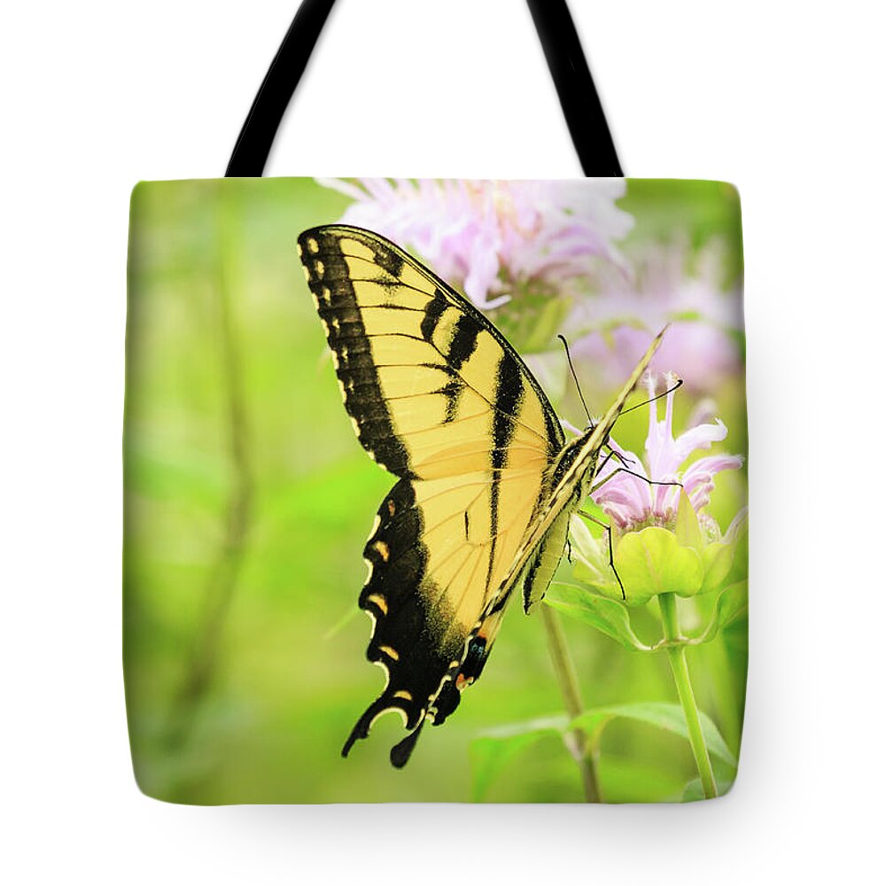 Forest Preserve Tote Bag featuring the photograph Series of Yellow Swallowtail #2 of 6 by Joni Eskridge