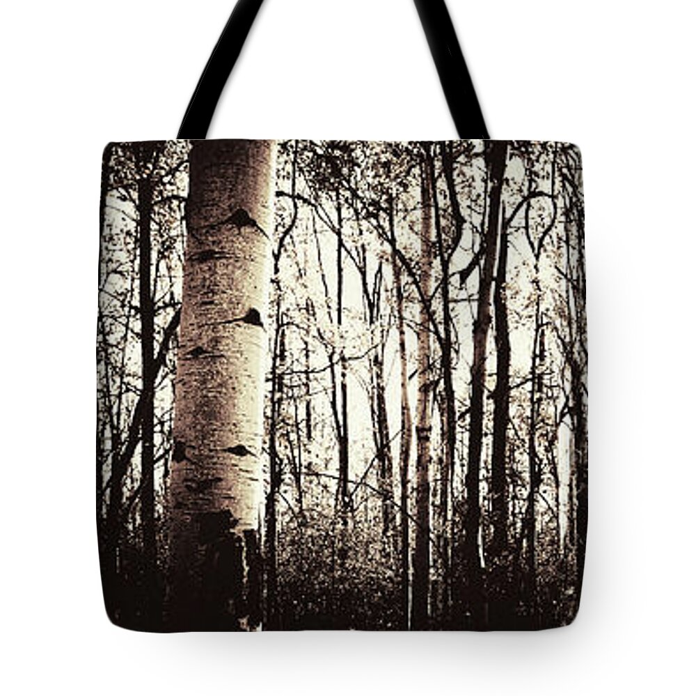 Landscape Tote Bag featuring the photograph Series Silent Woods 3 by RicharD Murphy