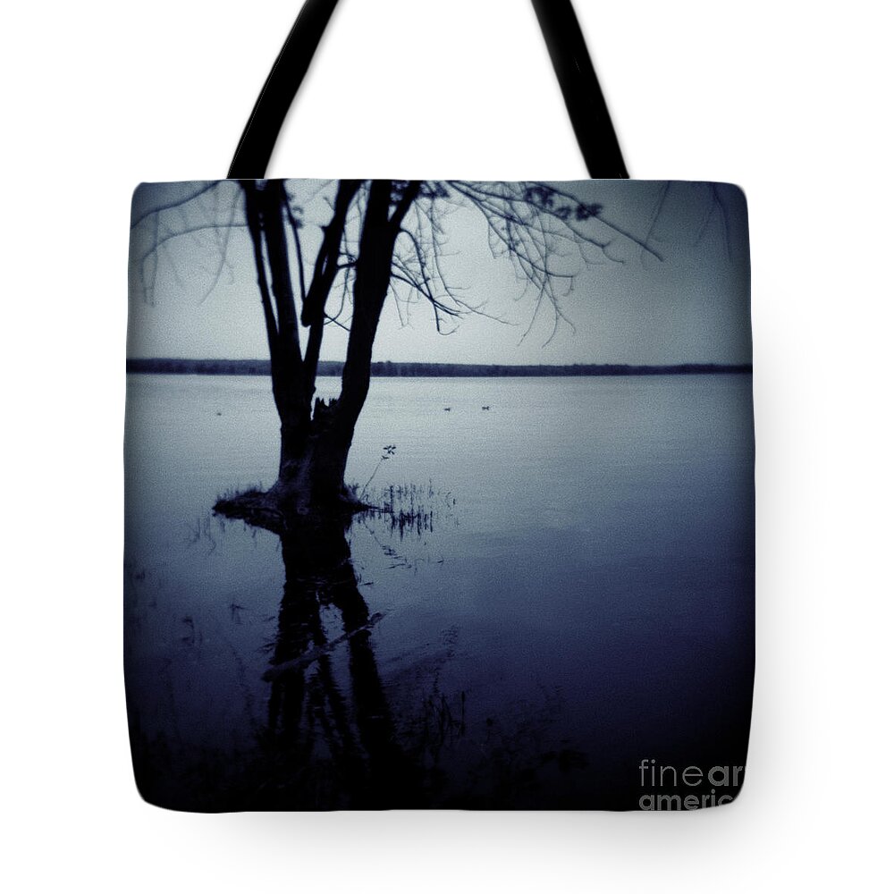 Landscape Tote Bag featuring the photograph Series Wood and Water 2 by RicharD Murphy