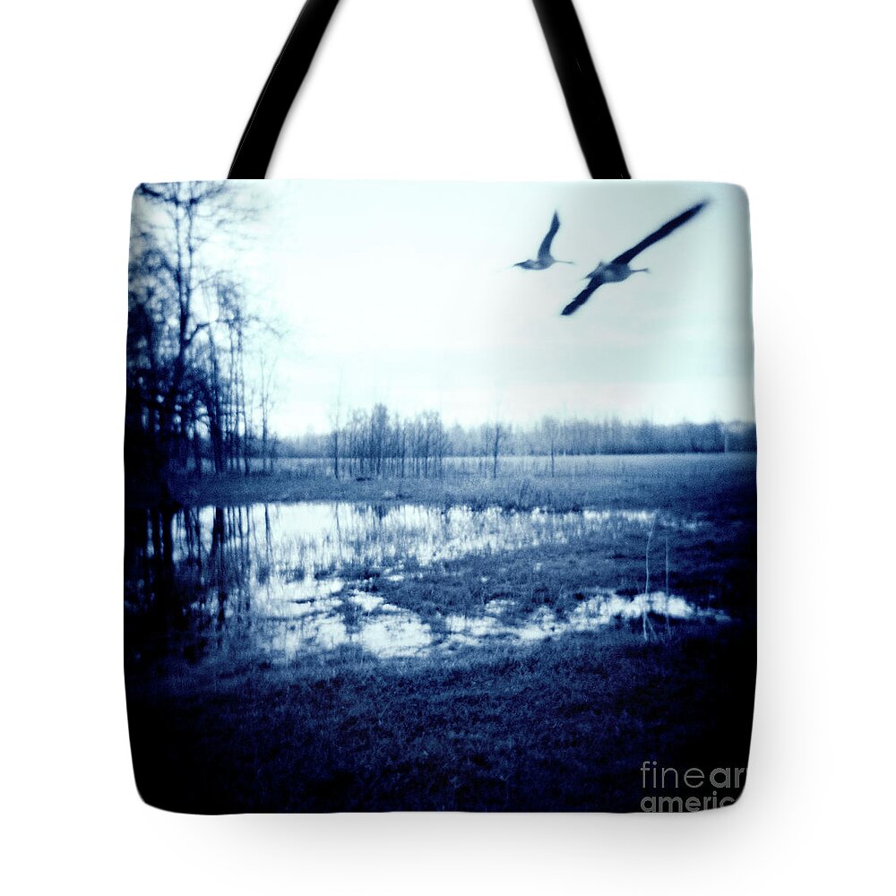 Geese Tote Bag featuring the photograph Series Wood and Water 3 by RicharD Murphy
