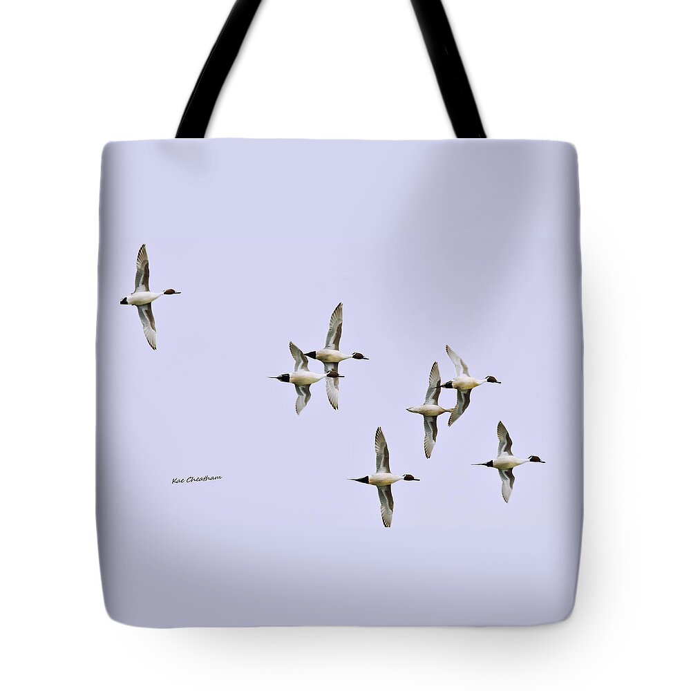 Ducks Tote Bag featuring the photograph Seven Pintail Ducks on High by Kae Cheatham