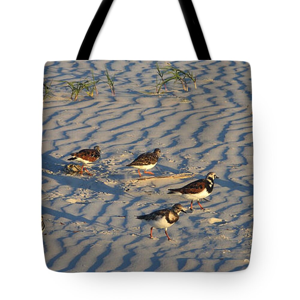 Beach Tote Bag featuring the photograph Seven Sandpipers by Julianne Felton