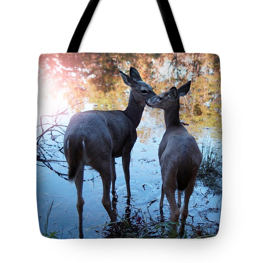 Deer Tote Bag featuring the photograph Shabbat Shalom by Bill Stephens