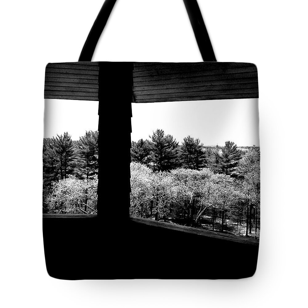 Forest Tote Bag featuring the photograph Shade And Splendor by Andy Rhodes
