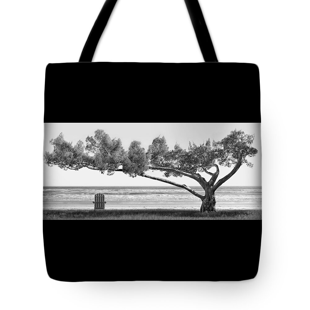 Shade Tree Tote Bag featuring the photograph Shade Tree bw by Mike McGlothlen
