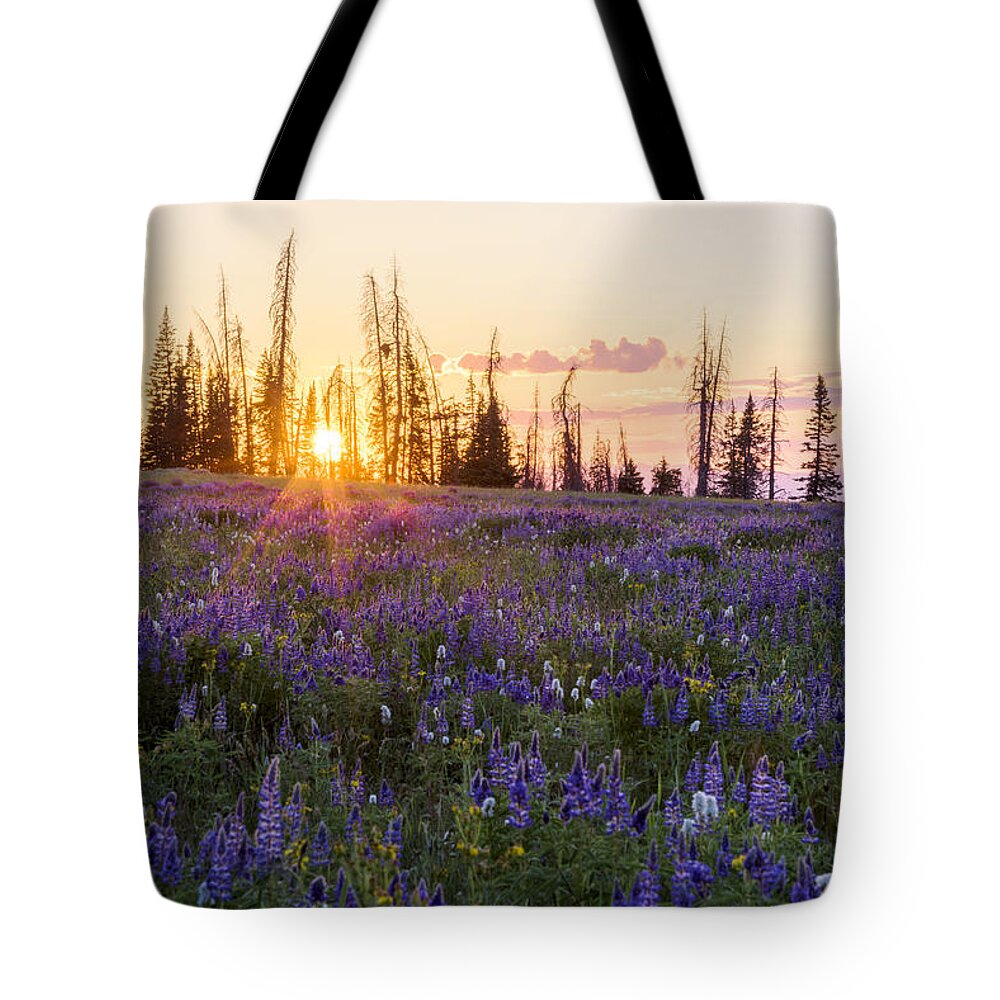 Shades Tote Bag featuring the photograph Shades by Chad Dutson