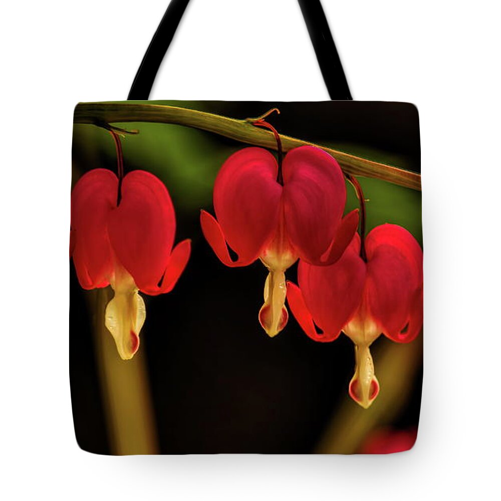 Flower Tote Bag featuring the photograph Shades of Bleeding Hearts by Dale Kauzlaric