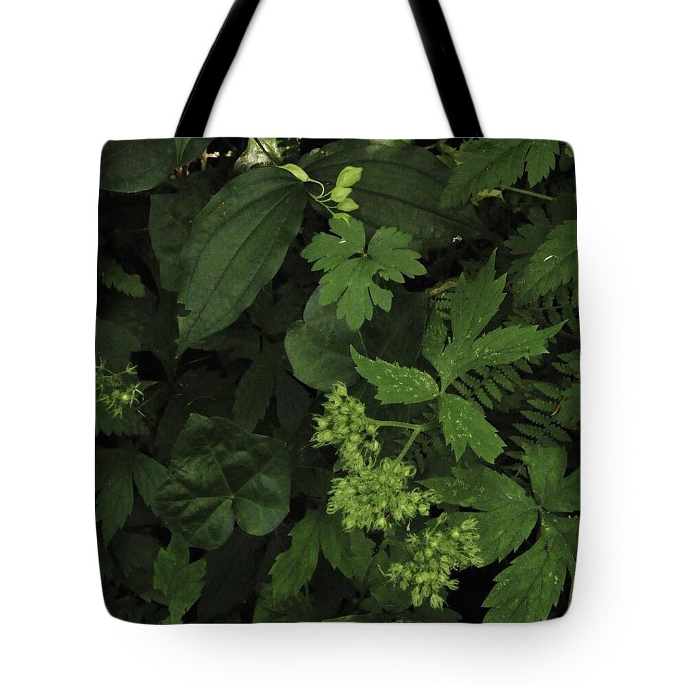 Nature Tote Bag featuring the photograph Shades of Green in the Forest by Charles Lucas