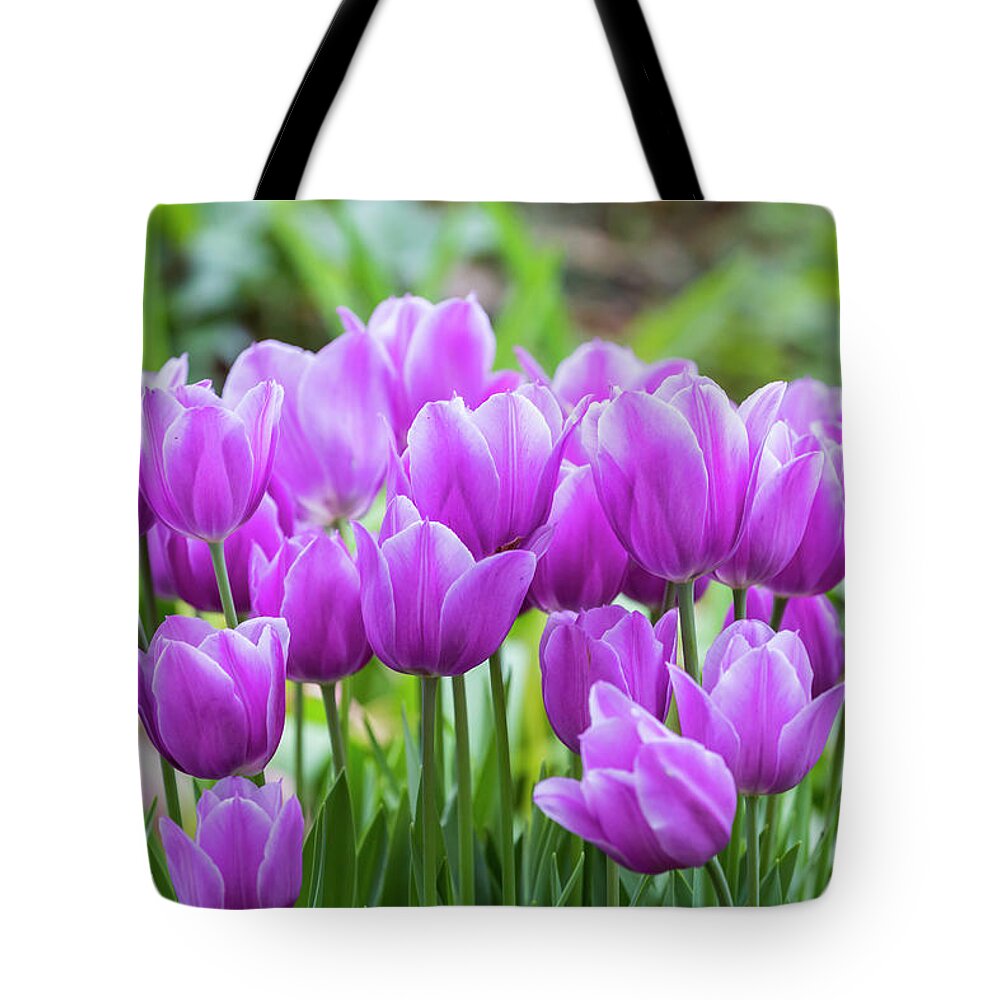 Dallas Aboretum Tote Bag featuring the photograph Shades of Purple by Ray Silva