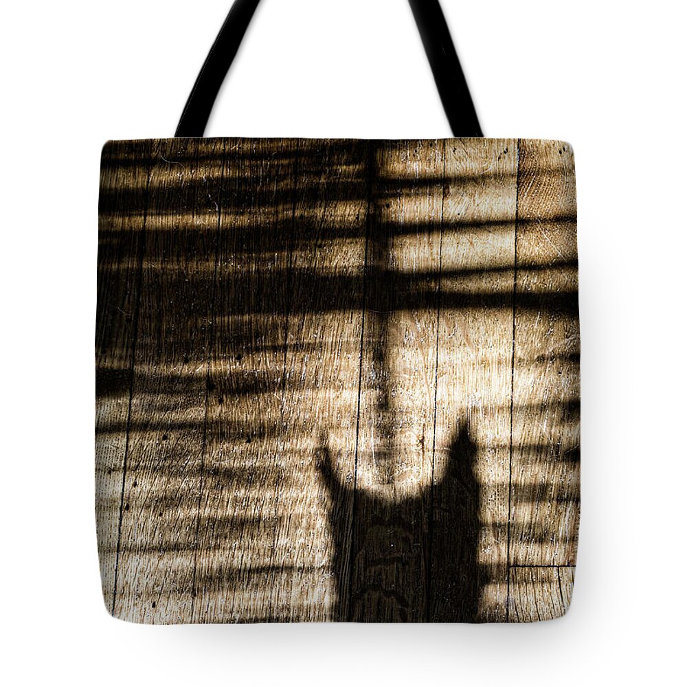 Jackie Moon Tote Bag featuring the photograph Shadow Cat by Sharon Popek