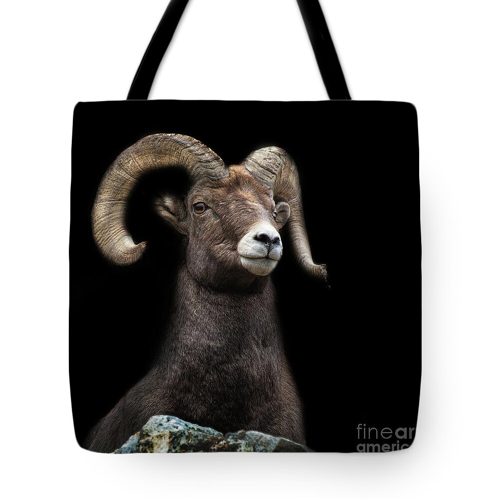 Bighorn Tote Bag featuring the photograph Shadowland by Jim Garrison