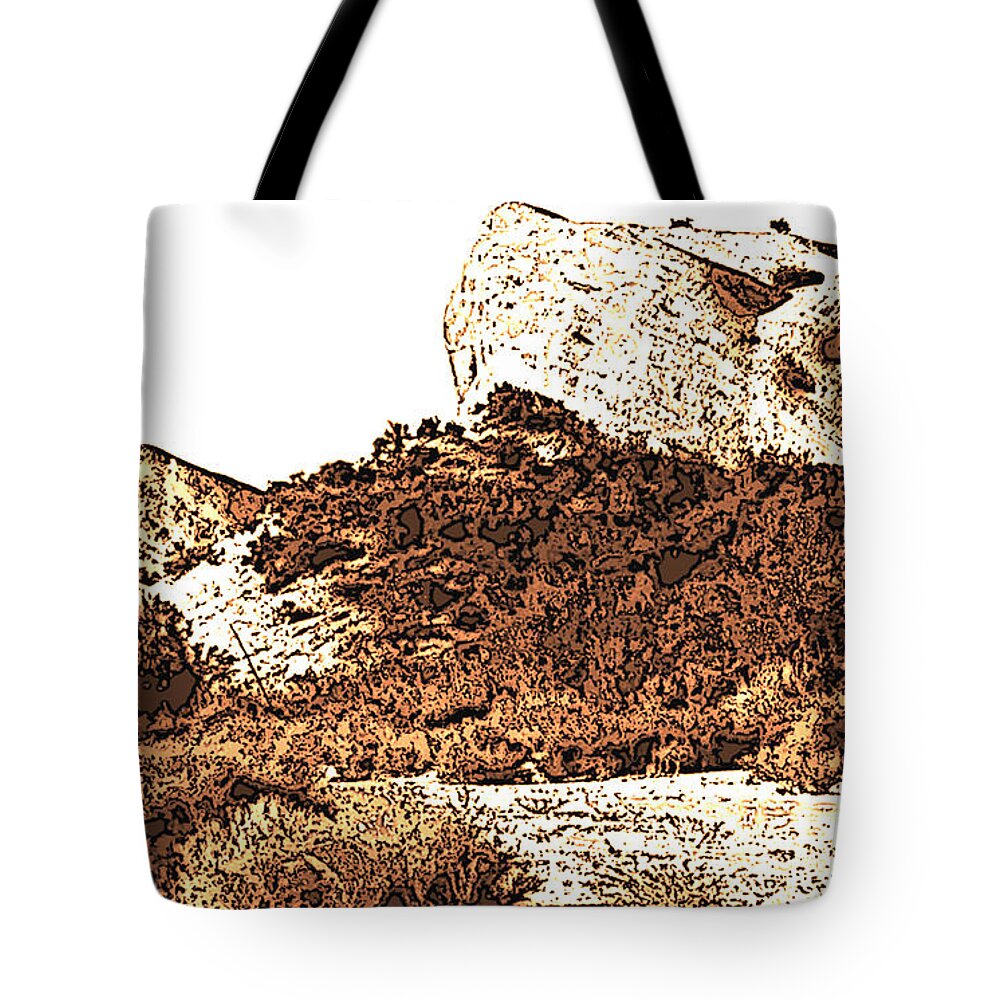 Desert Tote Bag featuring the photograph Shadows of A Great Rock by Pat Wagner