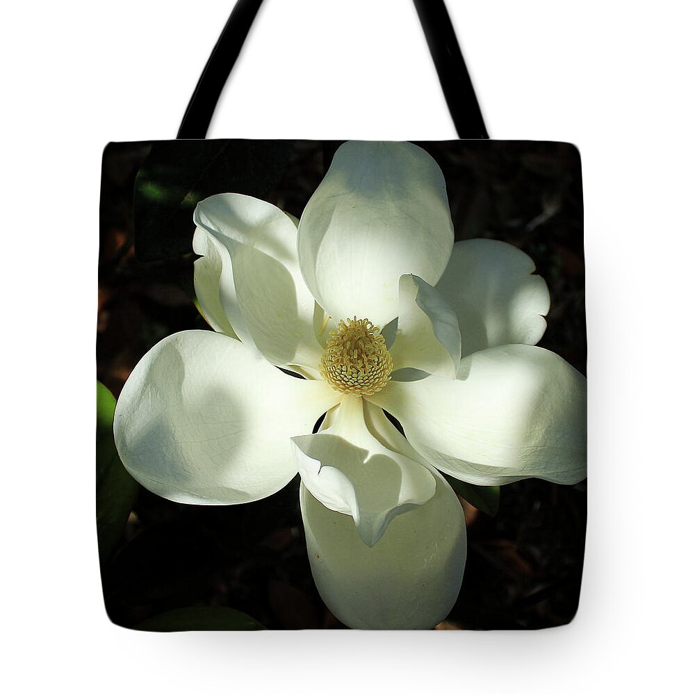 Reid Callaway The Opening Tote Bag featuring the photograph Shadows Of Beauty Magnolia Flower Art by Reid Callaway