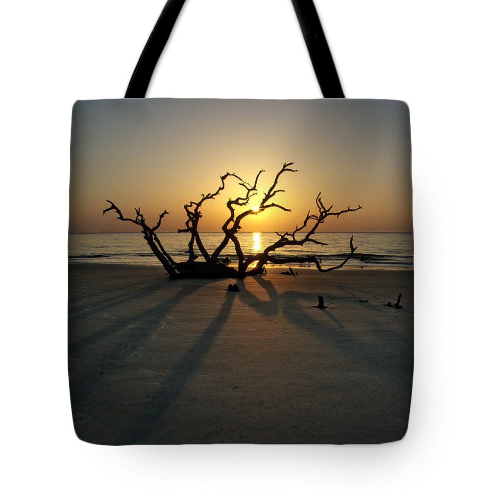 Driftwood Tote Bag featuring the photograph Shadows Of Driftwood by Greg and Chrystal Mimbs