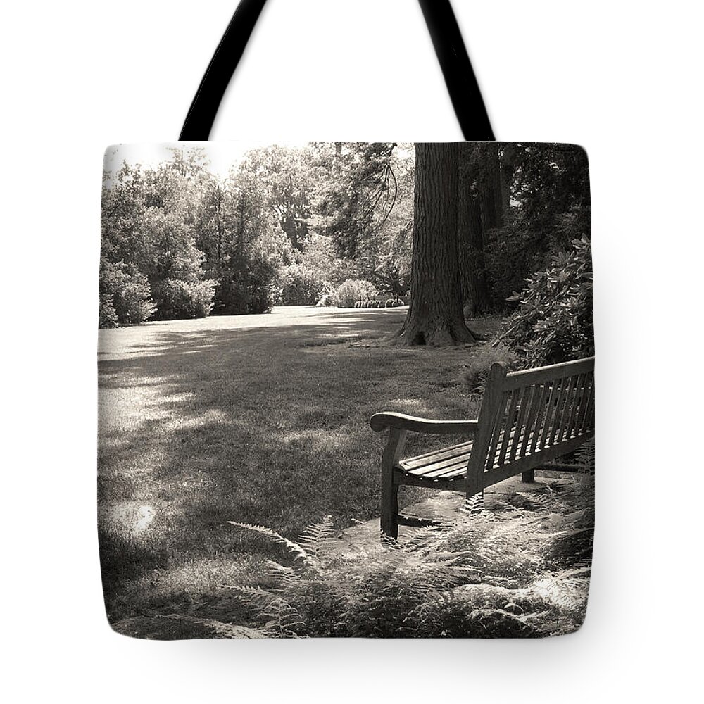 Shady Tote Bag featuring the photograph Shady Bench by Gordon Beck