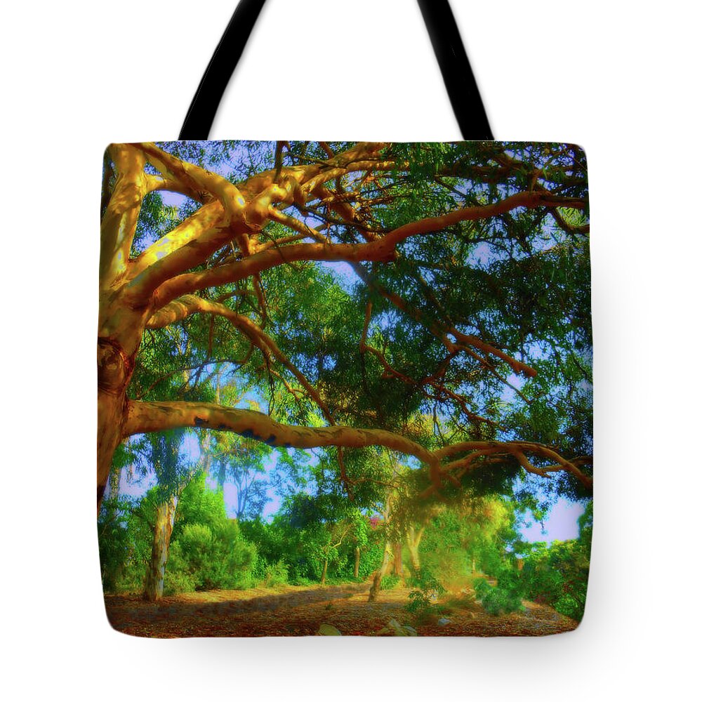 Forest Tote Bag featuring the photograph Shady by Mark Blauhoefer